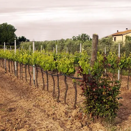 Il Giardino Dell'osa *